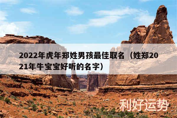 2024年虎年郑姓男孩最佳取名以及姓郑2024年牛宝宝好听的名字