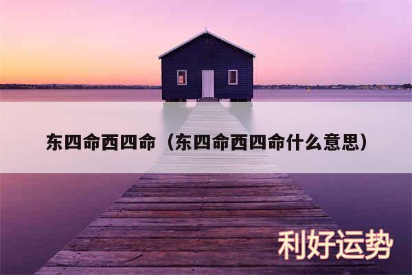 东四命西四命以及东四命西四命什么意思