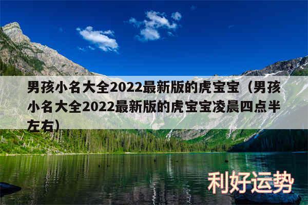 男孩小名大全2024最新版的虎宝宝以及男孩小名大全2024最新版的虎宝宝凌晨四点半左右