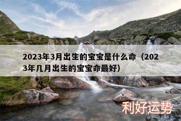 2024年3月出生的宝宝是什么命以及2024年几月出生的宝宝命最好