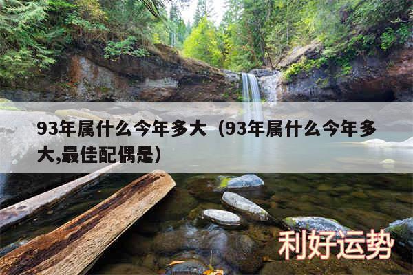 93年属什么今年多大以及93年属什么今年多大,最佳配偶是