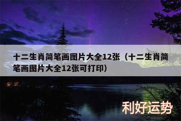 十二生肖简笔画图片大全12张以及十二生肖简笔画图片大全12张可打印