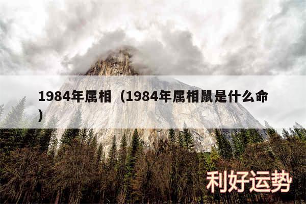 1984年属相以及1984年属相鼠是什么命