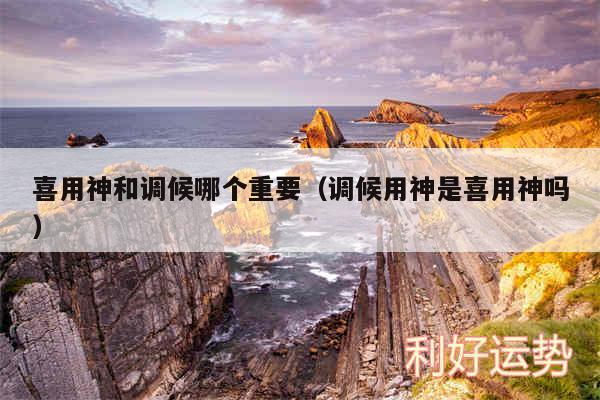 喜用神和调候哪个重要以及调候用神是喜用神吗