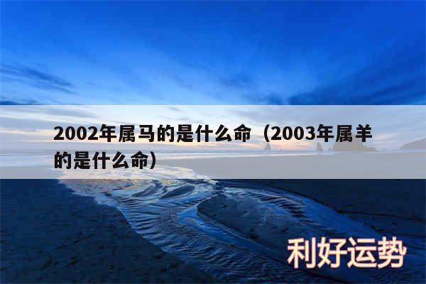 2002年属马的是什么命以及2003年属羊的是什么命