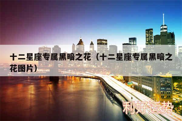 十二星座专属黑暗之花以及十二星座专属黑暗之花图片