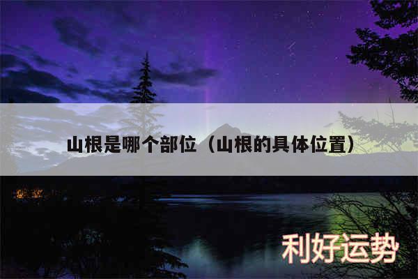 山根是哪个部位以及山根的具体位置