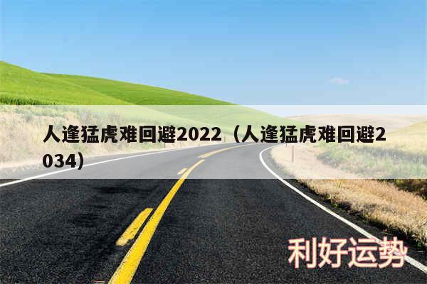 人逢猛虎难回避2024以及人逢猛虎难回避2034