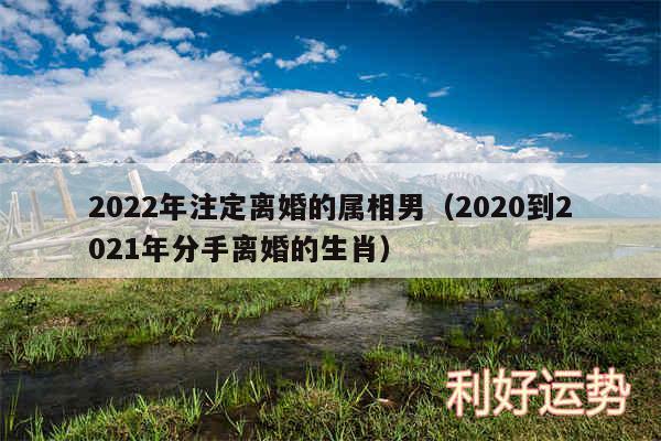 2024年注定离婚的属相男以及2020到2024年分手离婚的生肖