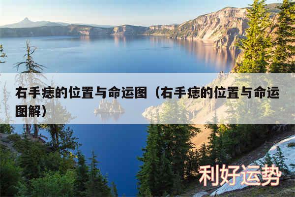 右手痣的位置与命运图以及右手痣的位置与命运图解