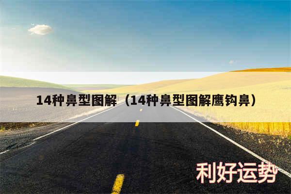 14种鼻型图解以及14种鼻型图解鹰钩鼻