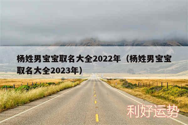 杨姓男宝宝取名大全2024年以及杨姓男宝宝取名大全2024年