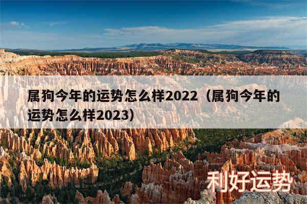 属狗今年的运势怎么样2024以及属狗今年的运势怎么样2024