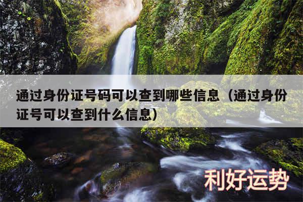 通过身份证号码可以查到哪些信息以及通过身份证号可以查到什么信息