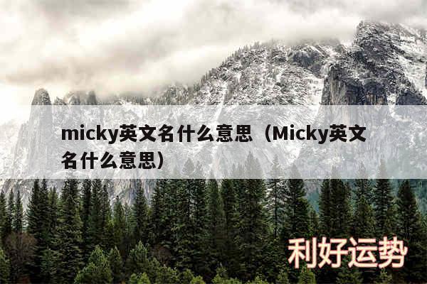 micky英文名什么意思以及Micky英文名什么意思