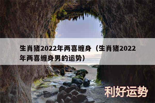 生肖猪2024年两喜缠身以及生肖猪2024年两喜缠身男的运势