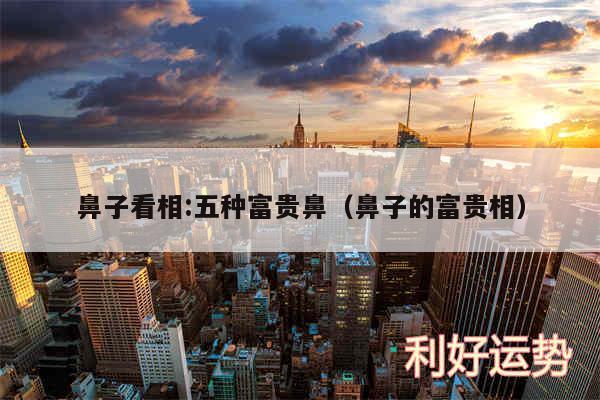 鼻子看相:五种富贵鼻以及鼻子的富贵相