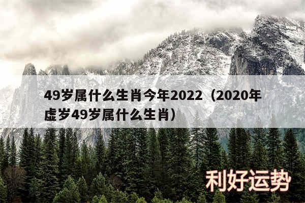 49岁属什么生肖今年2024以及2020年虚岁49岁属什么生肖