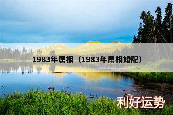 1983年属相以及1983年属相婚配