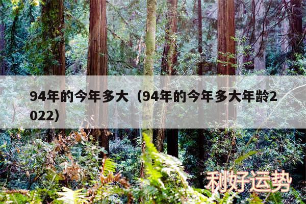 94年的今年多大以及94年的今年多大年龄2024