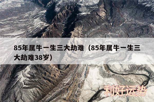 85年属牛一生三大劫难以及85年属牛一生三大劫难38岁