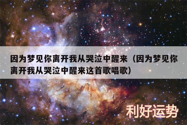 因为梦见你离开我从哭泣中醒来以及因为梦见你离开我从哭泣中醒来这首歌唱歌