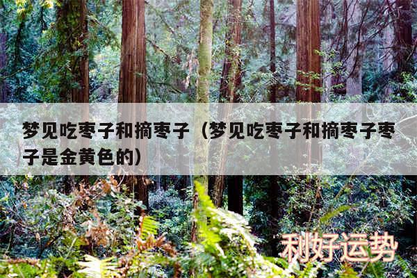 梦见吃枣子和摘枣子以及梦见吃枣子和摘枣子枣子是金黄色的