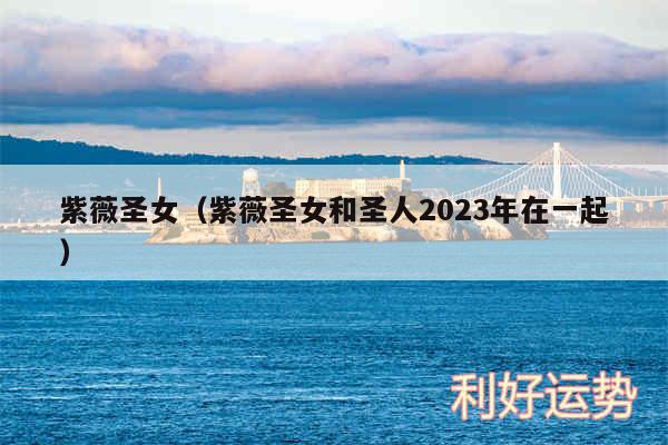 紫薇圣女以及紫薇圣女和圣人2024年在一起