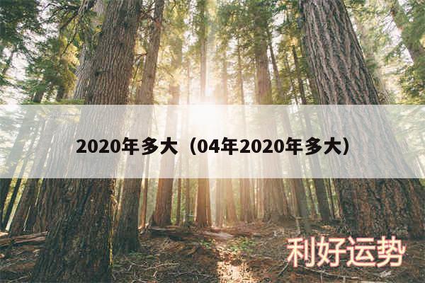 2020年多大以及04年2020年多大