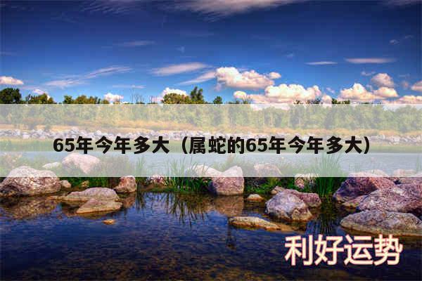 65年今年多大以及属蛇的65年今年多大