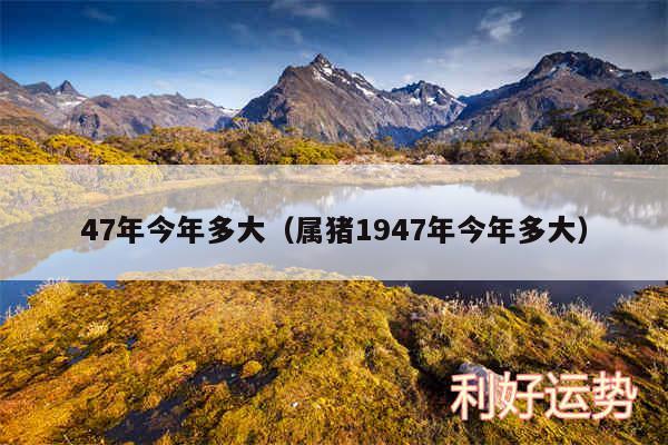 47年今年多大以及属猪1947年今年多大