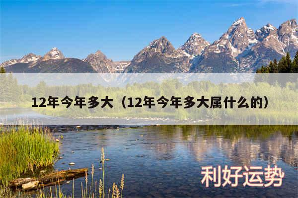 12年今年多大以及12年今年多大属什么的