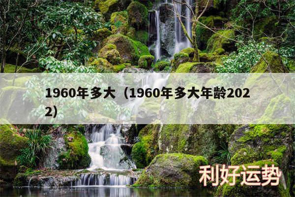 1960年多大以及1960年多大年龄2024