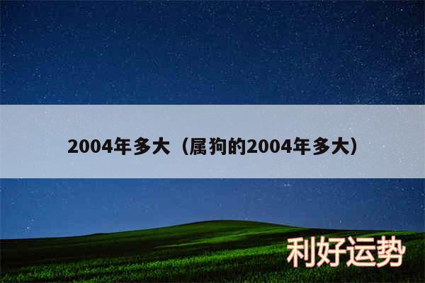 2004年多大以及属狗的2004年多大