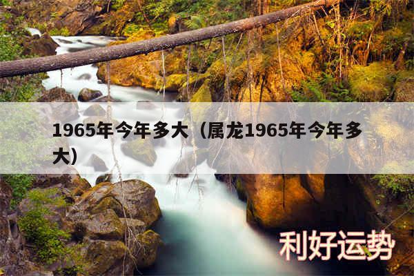 1965年今年多大以及属龙1965年今年多大