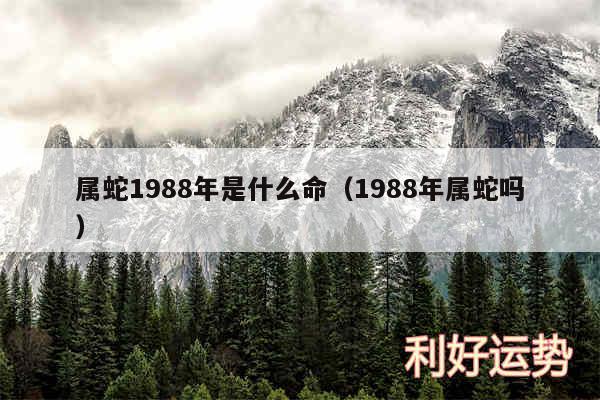 属蛇1988年是什么命以及1988年属蛇吗