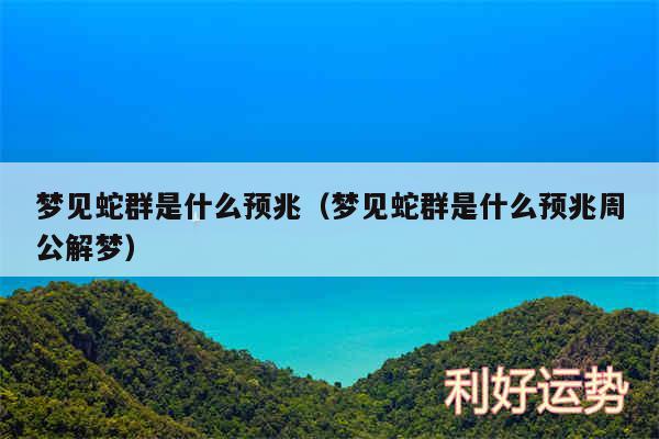 梦见蛇群是什么预兆以及梦见蛇群是什么预兆周公解梦