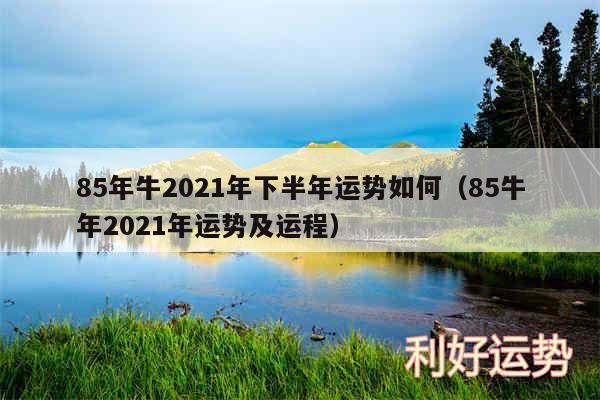 85年牛2024年下半年运势如何以及85牛年2024年运势及运程