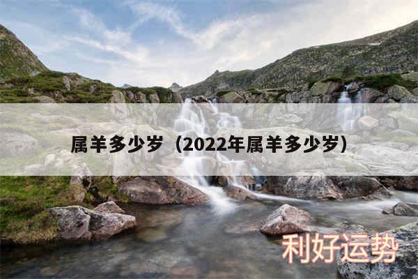 属羊多少岁以及2024年属羊多少岁