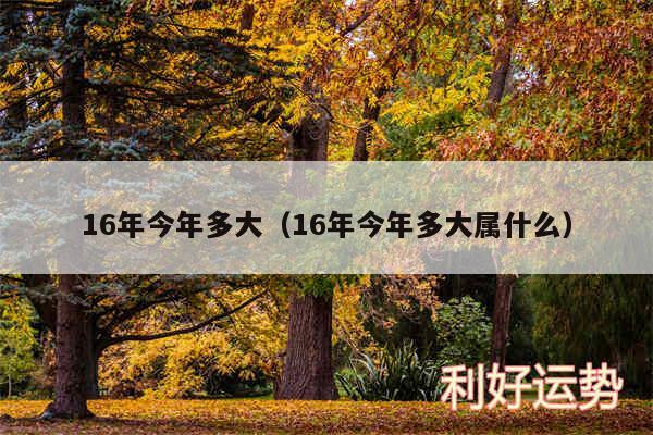 16年今年多大以及16年今年多大属什么