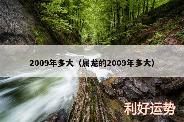 2009年多大以及属龙的2009年多大