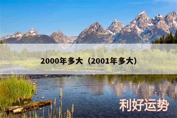 2000年多大以及2001年多大