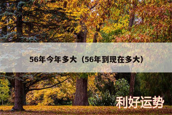 56年今年多大以及56年到现在多大