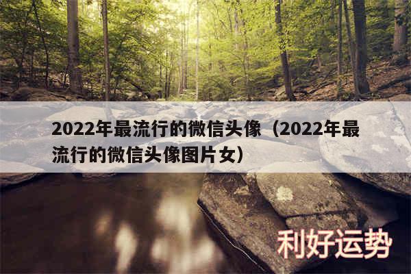 2024年最流行的微信头像以及2024年最流行的微信头像图片女