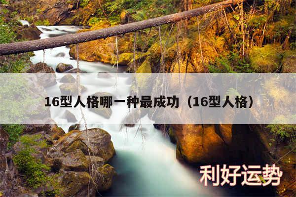 16型人格哪一种最成功以及16型人格