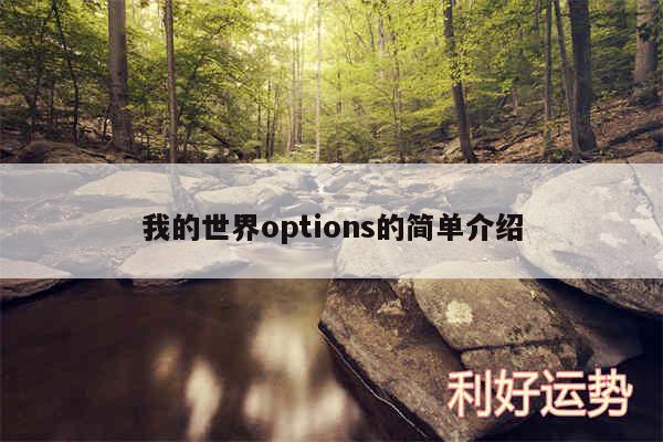 我的世界options的简单介绍