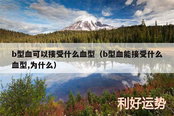 b型血可以接受什么血型以及b型血能接受什么血型,为什么
