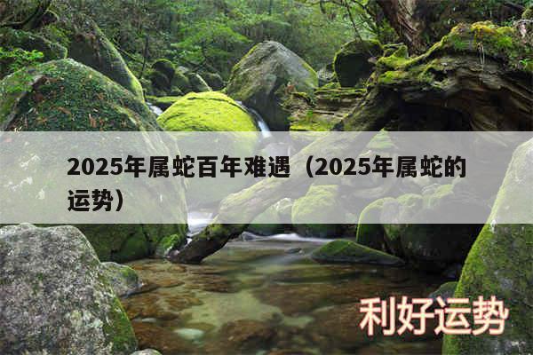 2025年属蛇百年难遇以及2025年属蛇的运势