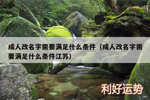 成人改名字需要满足什么条件以及成人改名字需要满足什么条件江苏