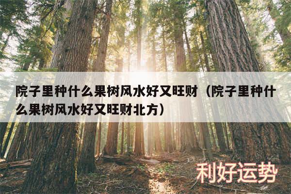 院子里种什么果树风水好又旺财以及院子里种什么果树风水好又旺财北方